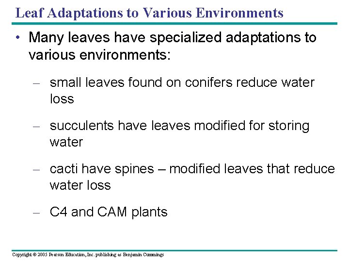 Leaf Adaptations to Various Environments • Many leaves have specialized adaptations to various environments: