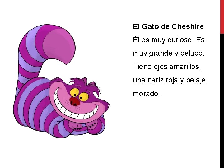 El Gato de Cheshire Él es muy curioso. Es muy grande y peludo. Tiene