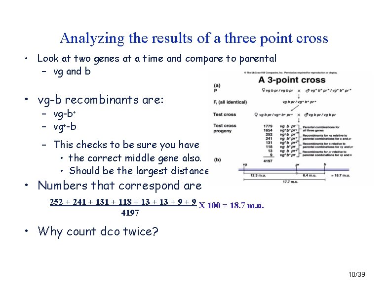 Analyzing the results of a three point cross • Look at two genes at