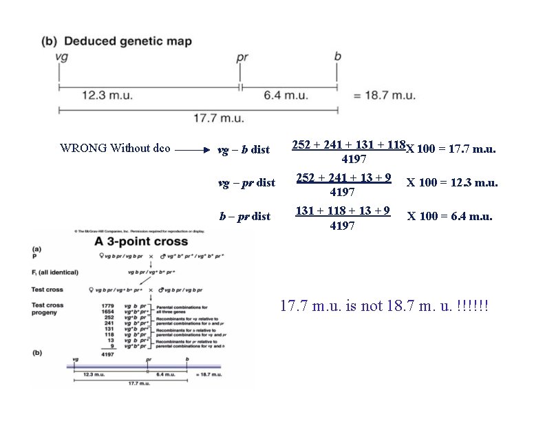 WRONG Without dco vg – b dist vg – pr dist b – pr