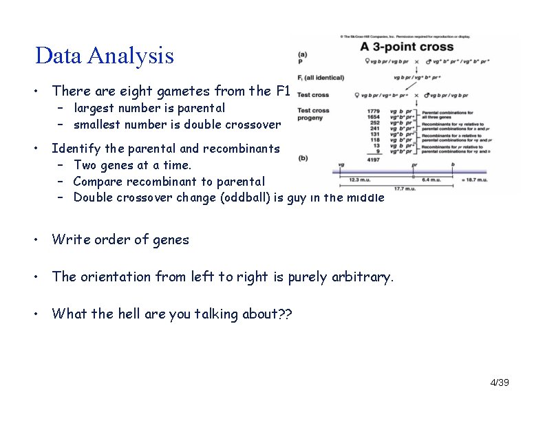 Data Analysis • There are eight gametes from the F 1 – largest number