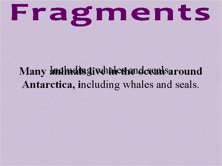 Includinglive whales and seals. around Many animals in the ocean Antarctica, including whales and