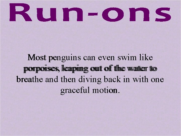 Most penguins can even swim like porpoises, porpoises leaping out of of the water