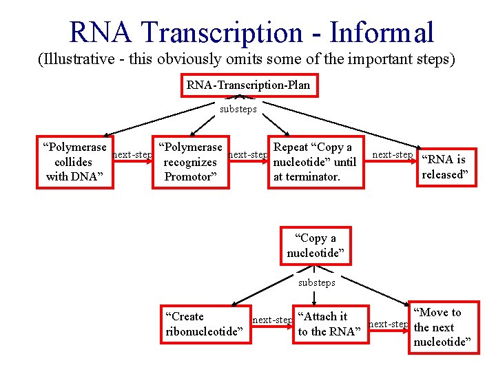RNA Transcription - Informal (Illustrative - this obviously omits some of the important steps)