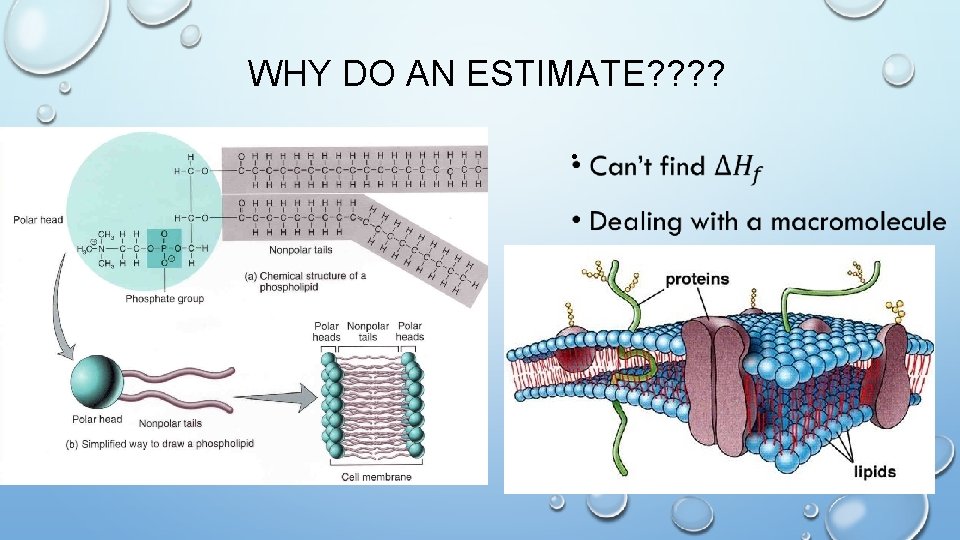 WHY DO AN ESTIMATE? ? • 