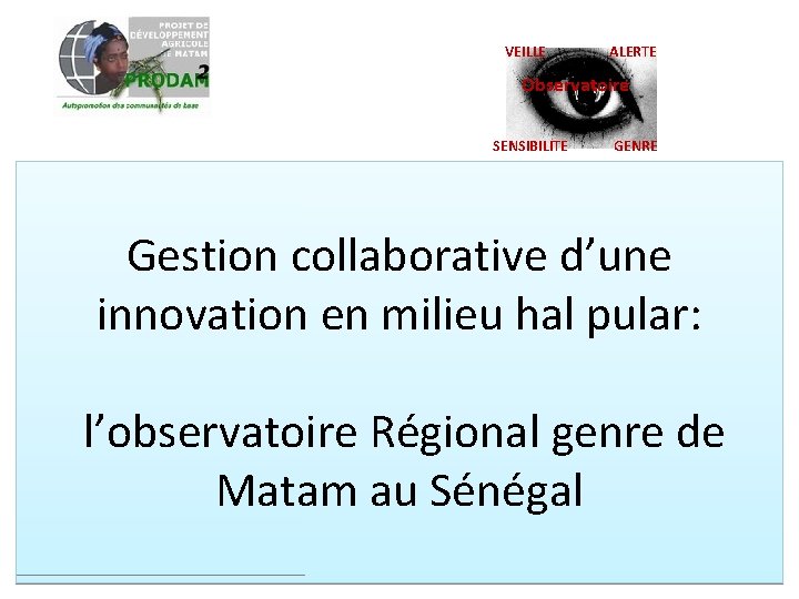 VEILLE ALERTE Observatoire SENSIBILITE GENRE Gestion collaborative d’une innovation en milieu hal pular: l’observatoire