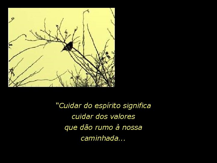 “Cuidar do espírito significa cuidar dos valores que dão rumo à nossa caminhada. .