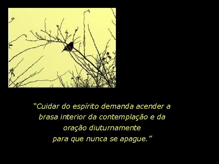 “Cuidar do espírito demanda acender a brasa interior da contemplação e da oração diuturnamente