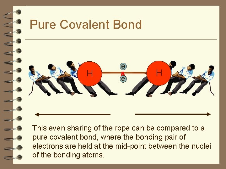 Pure Covalent Bond H e e H This even sharing of the rope can