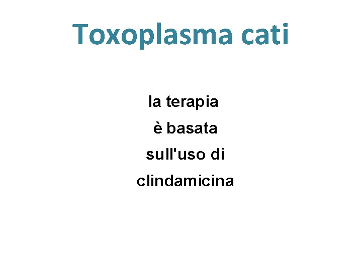 Toxoplasma cati la terapia è basata sull'uso di clindamicina 