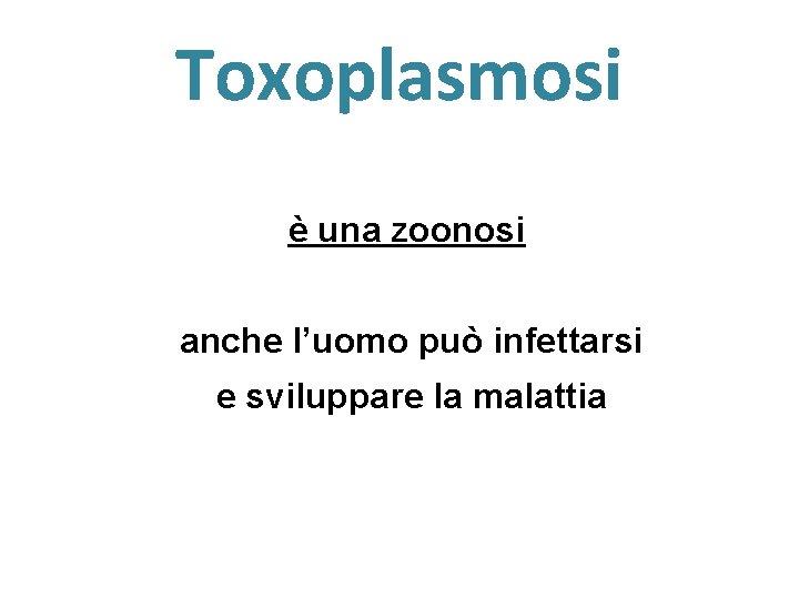 Toxoplasmosi è una zoonosi anche l’uomo può infettarsi e sviluppare la malattia 