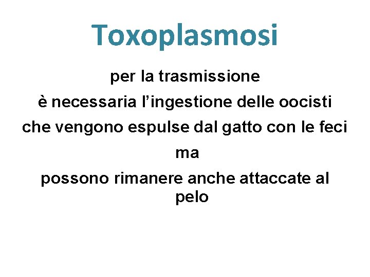 Toxoplasmosi per la trasmissione è necessaria l’ingestione delle oocisti che vengono espulse dal gatto