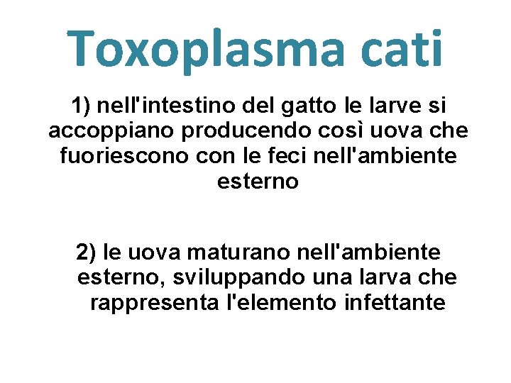 Toxoplasma cati 1) nell'intestino del gatto le larve si accoppiano producendo così uova che