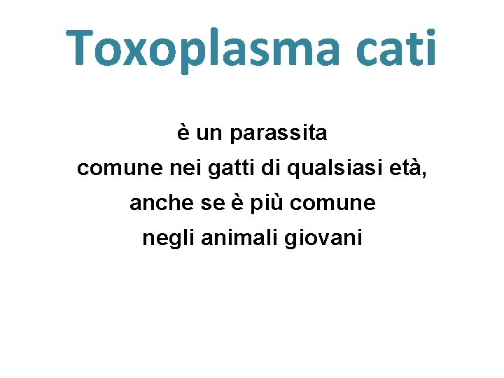 Toxoplasma cati è un parassita comune nei gatti di qualsiasi età, anche se è