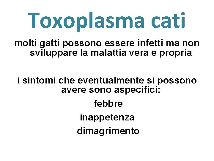 Toxoplasma cati molti gatti possono essere infetti ma non sviluppare la malattia vera e