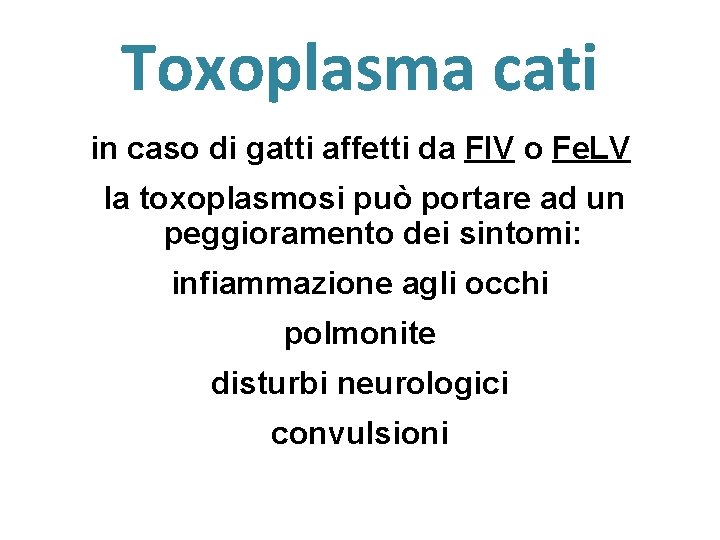 Toxoplasma cati in caso di gatti affetti da FIV o Fe. LV la toxoplasmosi