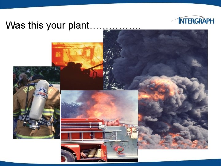 Was this your plant……………. 