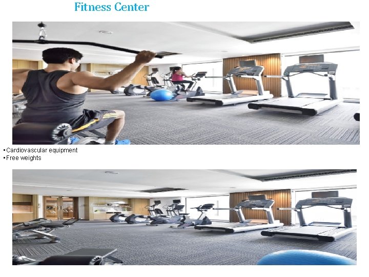 Fitness Center • Cardiovascular equipment • Free weights 