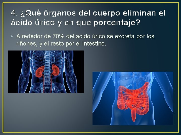 4. ¿Qué órganos del cuerpo eliminan el ácido úrico y en que porcentaje? •