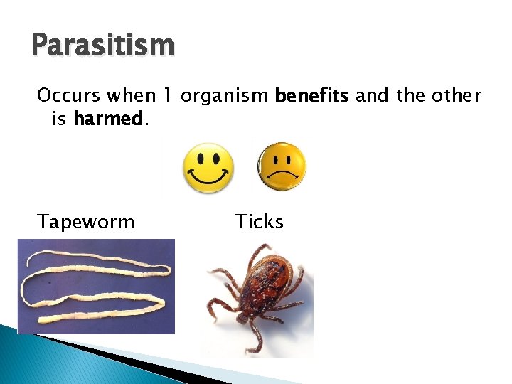 Parasitism Occurs when 1 organism benefits and the other is harmed. Tapeworm Ticks Parasitism Occurs when 1 organism benefits and the other is harmed. Tapeworm Ticks