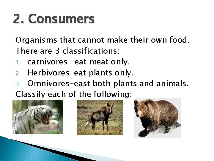 2. Consumers Organisms that cannot make their own food. There are 3 classifications: 1. 2. Consumers Organisms that cannot make their own food. There are 3 classifications: 1.