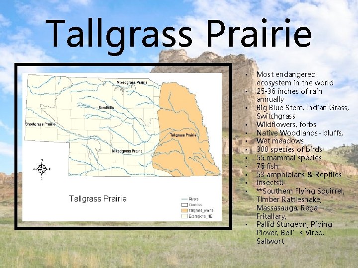 Tallgrass Prairie • • • Tallgrass Prairie • • • Most endangered ecosystem in