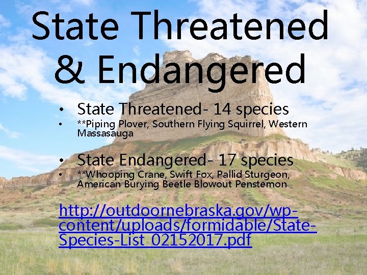 State Threatened & Endangered • State Threatened- 14 species • **Piping Plover, Southern Flying