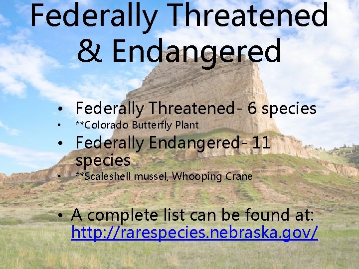 Federally Threatened & Endangered • Federally Threatened- 6 species • **Colorado Butterfly Plant •