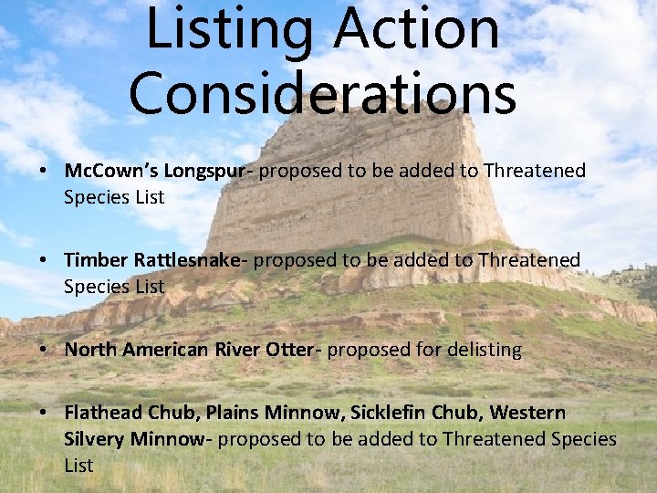 Listing Action Considerations • Mc. Cown’s Longspur- proposed to be added to Threatened Species