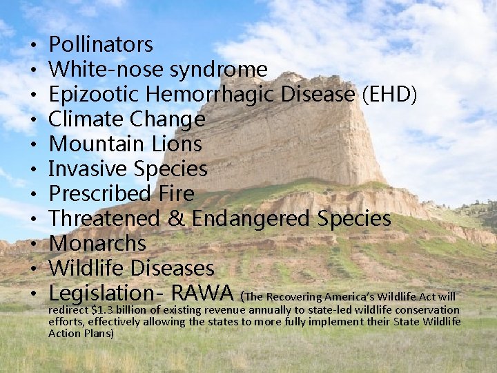  • • • Pollinators White-nose syndrome Epizootic Hemorrhagic Disease (EHD) Climate Change Mountain