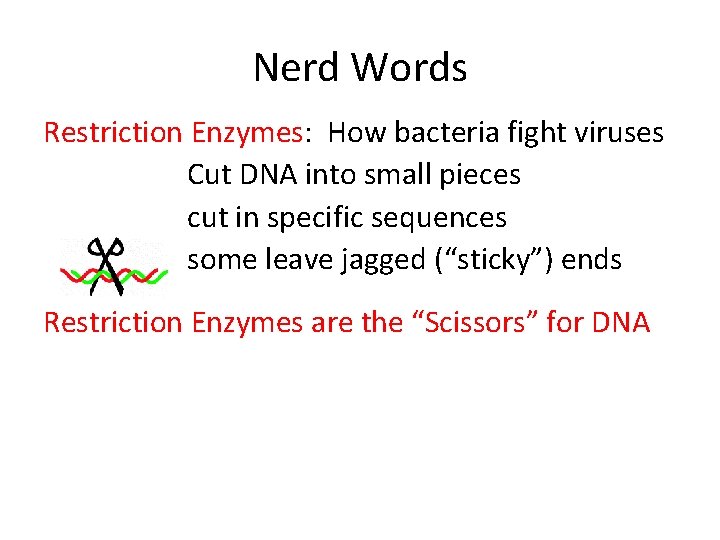 Nerd Words Restriction Enzymes: How bacteria fight viruses Cut DNA into small pieces cut