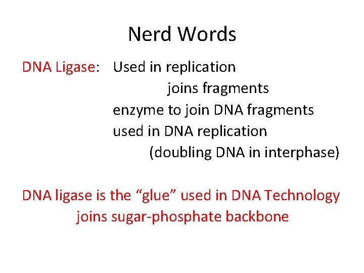 Nerd Words DNA Ligase: Used in replication joins fragments enzyme to join DNA fragments