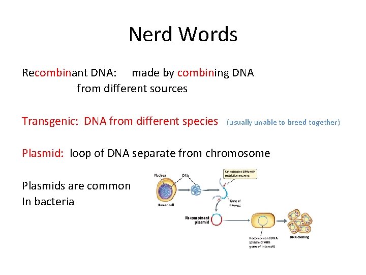 Nerd Words Recombinant DNA: made by combining DNA from different sources Transgenic: DNA from