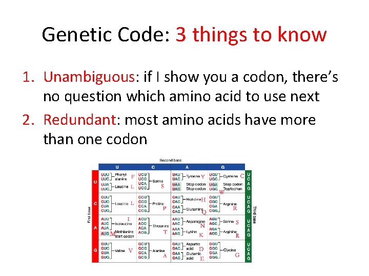 Genetic Code: 3 things to know 1. Unambiguous: if I show you a codon,