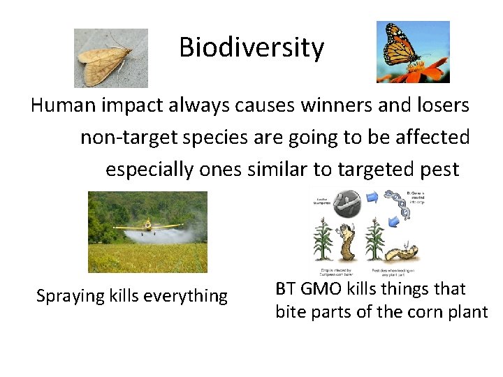 Biodiversity Human impact always causes winners and losers non-target species are going to be