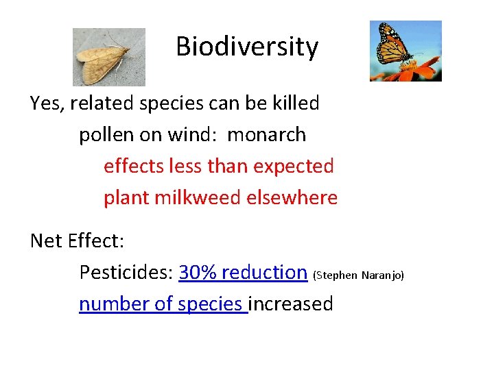 Biodiversity Yes, related species can be killed pollen on wind: monarch effects less than