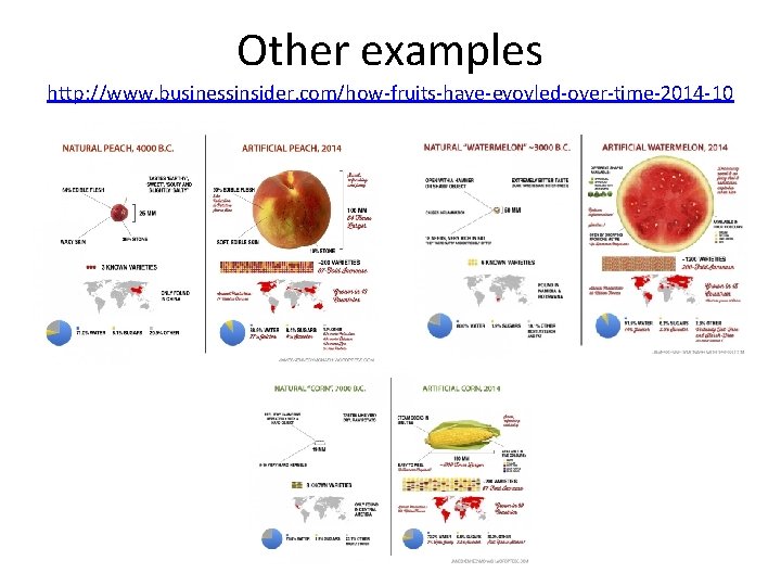 Other examples http: //www. businessinsider. com/how-fruits-have-evovled-over-time-2014 -10 