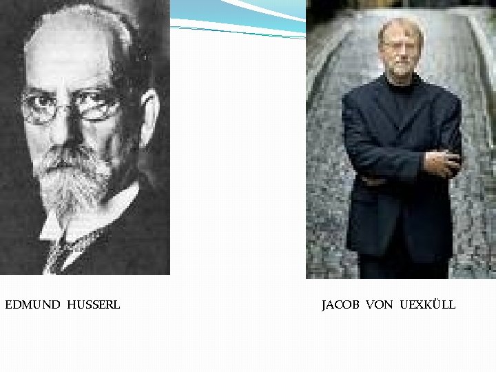 EDMUND HUSSERL JACOB VON UEXKÜLL 