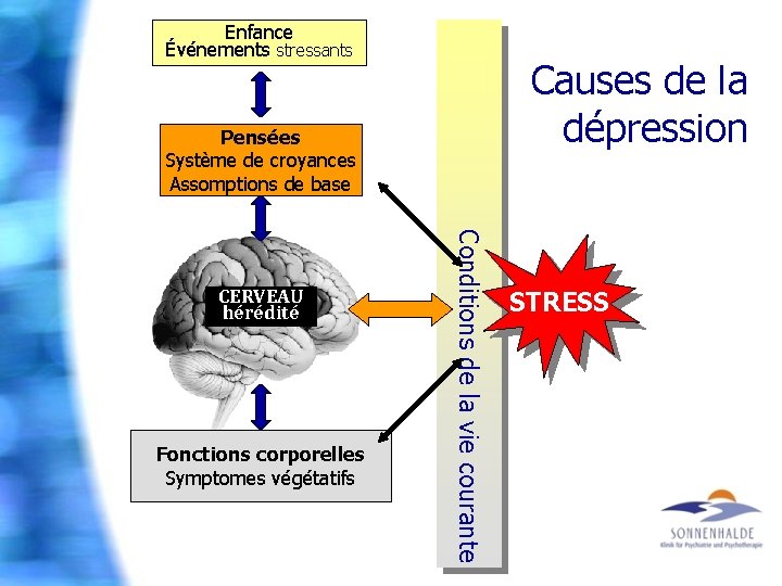 Enfance Événements stressants Causes de la dépression Pensées Système de croyances Assomptions de base