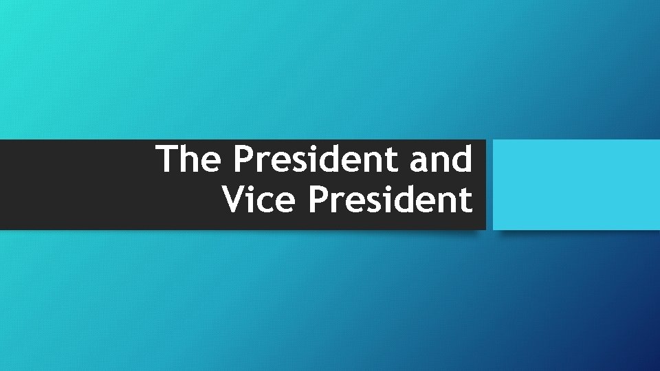 The President and Vice President 