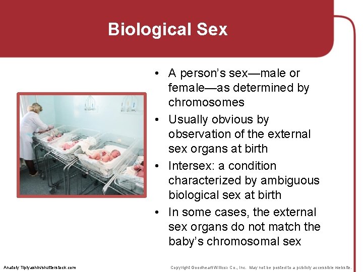 Biological Sex • A person’s sex—male or female—as determined by chromosomes • Usually obvious