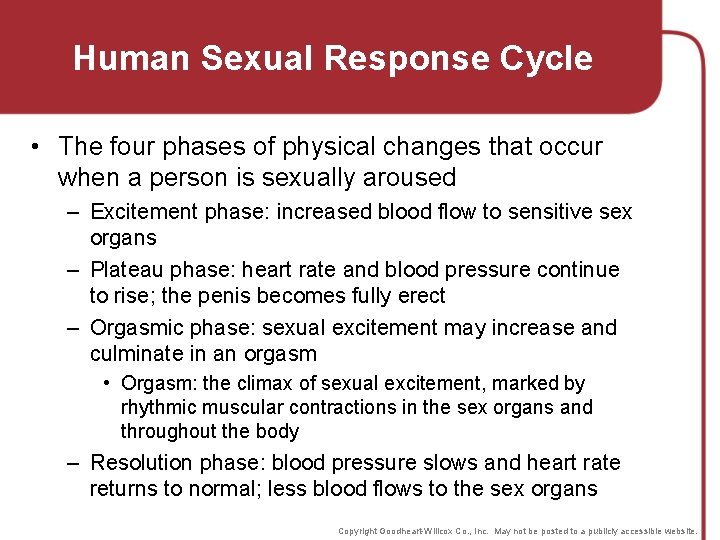 Human Sexual Response Cycle • The four phases of physical changes that occur when