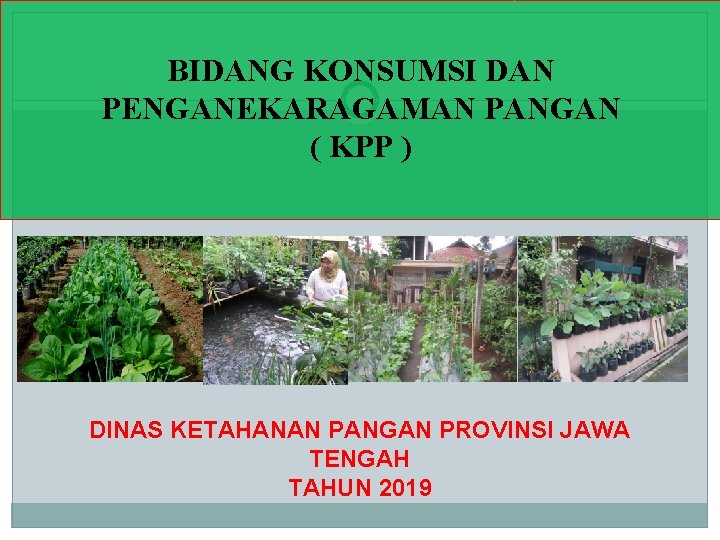 BIDANG KONSUMSI DAN PENGANEKARAGAMAN PANGAN ( KPP ) DINAS KETAHANAN PANGAN PROVINSI JAWA TENGAH