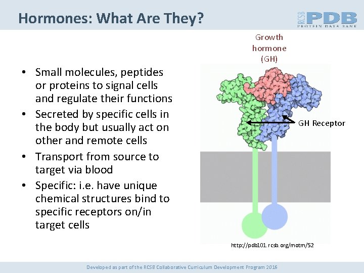 Hormones: What Are They? • Small molecules, peptides or proteins to signal cells and