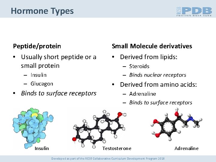 Hormone Types Peptide/protein Small Molecule derivatives • Usually short peptide or a small protein