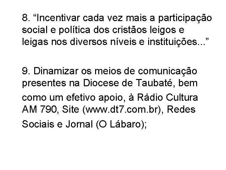 8. “Incentivar cada vez mais a participação social e política dos cristãos leigos e