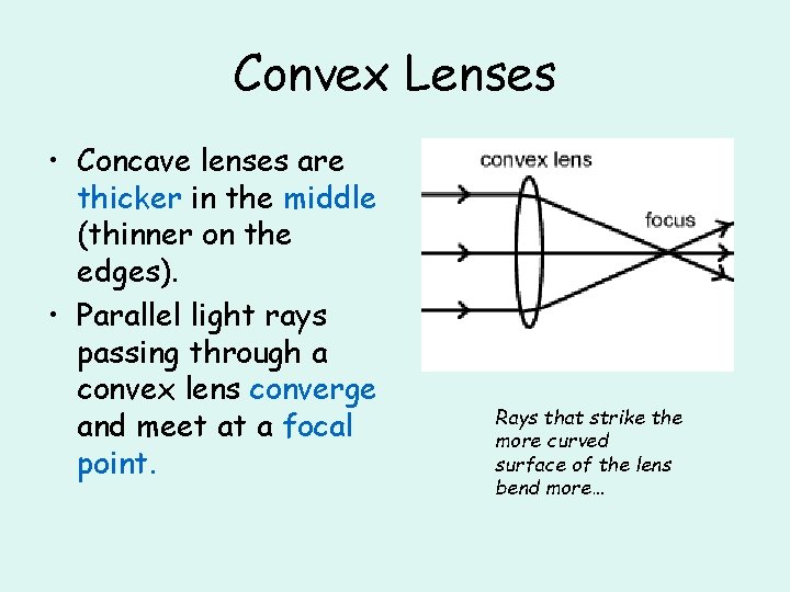 Convex Lenses • Concave lenses are thicker in the middle (thinner on the edges).