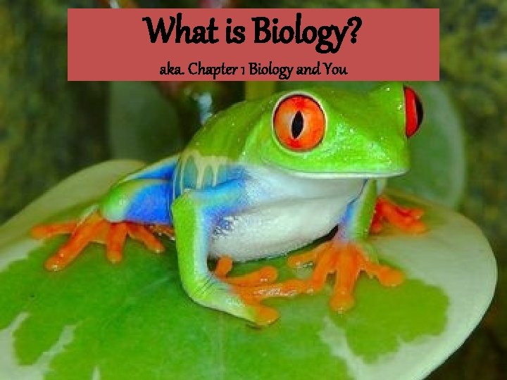 What is Biology? aka. Chapter 1 Biology and You 
