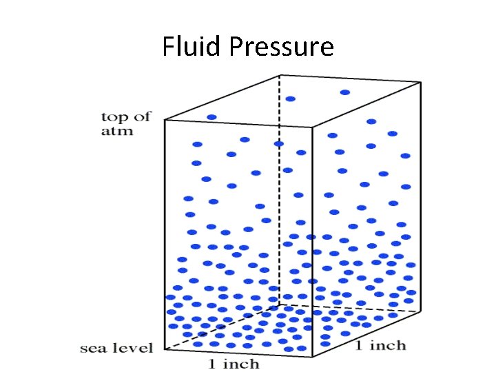 Fluid Pressure 