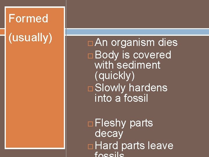 Formed (usually) An organism dies Body is covered with sediment (quickly) Slowly hardens into